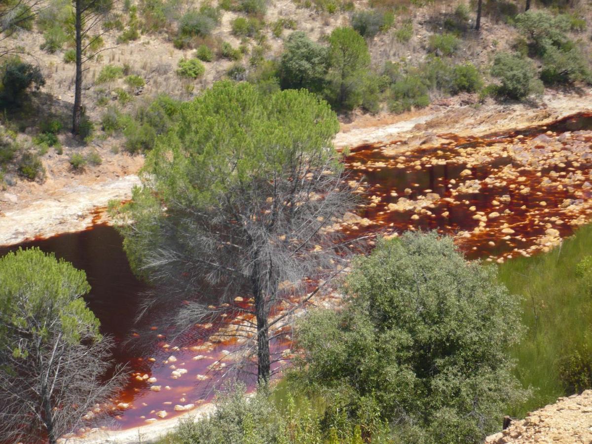Cortijo Los Conquistadores Lucena Del Puerto ภายนอก รูปภาพ