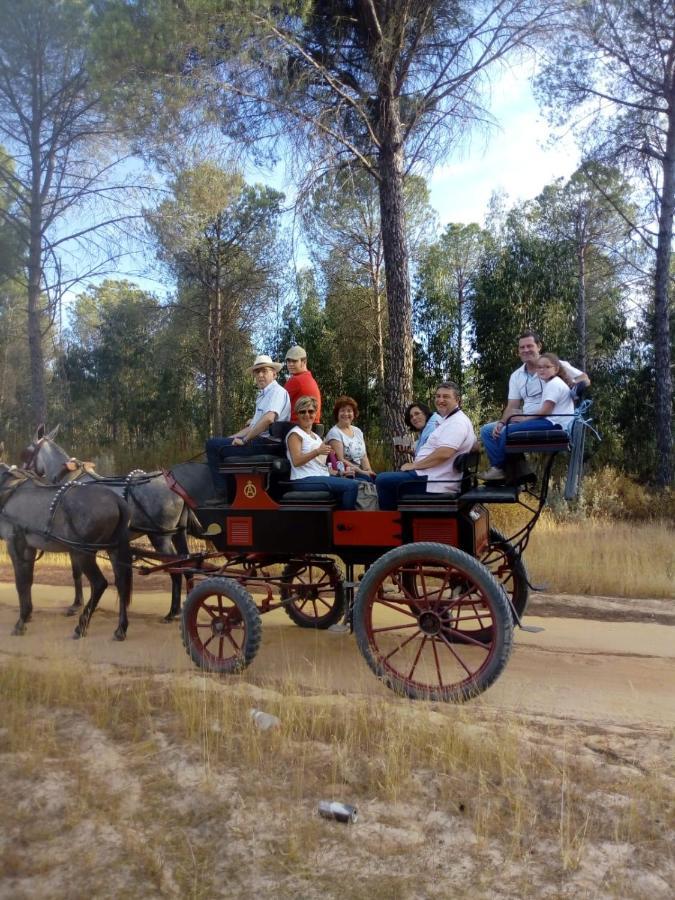 Cortijo Los Conquistadores Lucena Del Puerto ภายนอก รูปภาพ