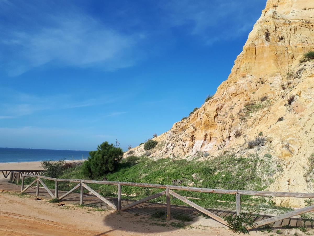 Cortijo Los Conquistadores Lucena Del Puerto ภายนอก รูปภาพ