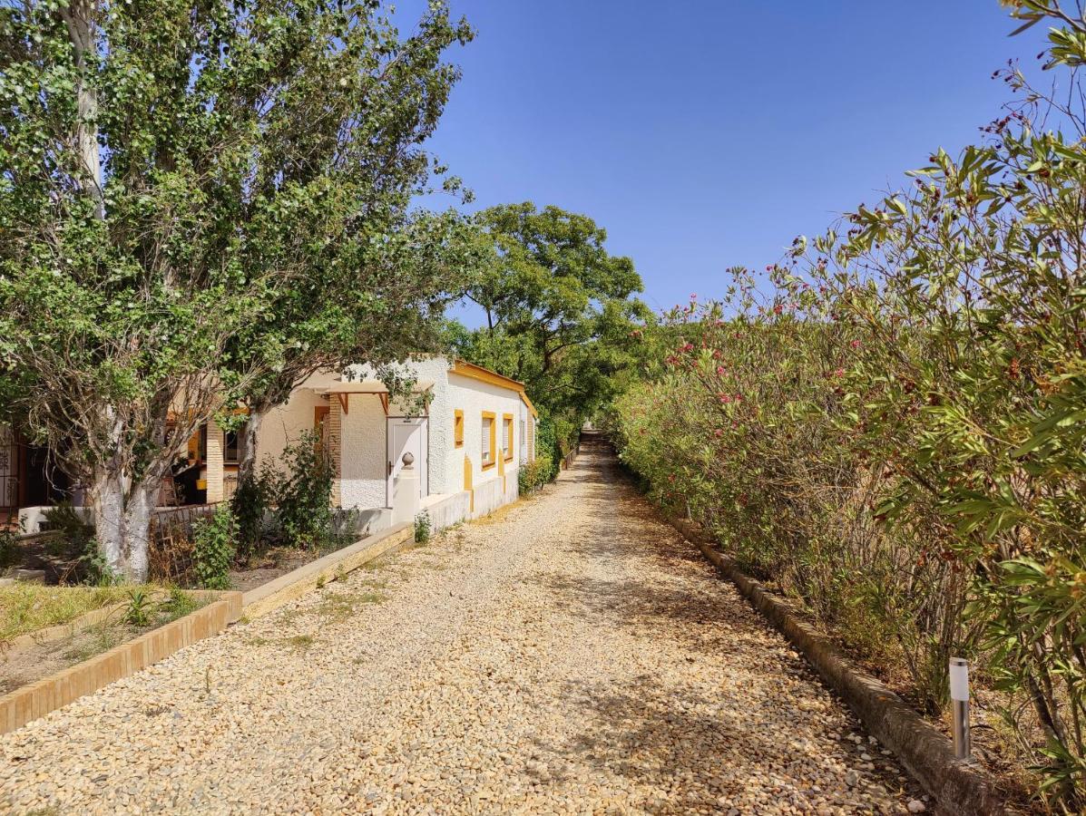 Cortijo Los Conquistadores Lucena Del Puerto ภายนอก รูปภาพ